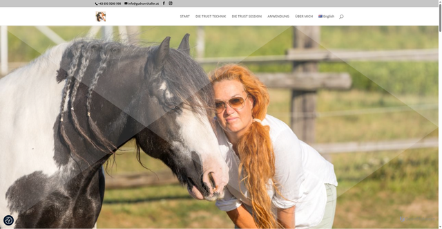 Security scan screenshot of https://medi-mit-tieren.at