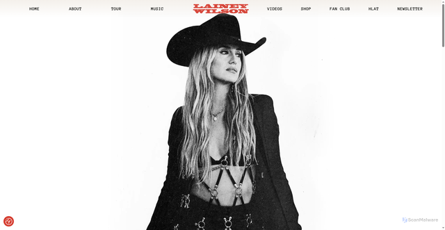 Security scan screenshot of https://www.laineywilson.com/home