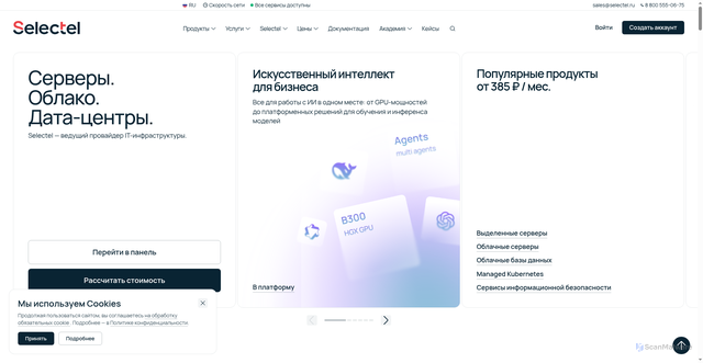 Security scan screenshot of https://selectel.ru
