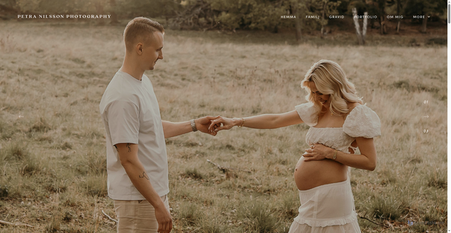 Security scan screenshot of https://petranilssonphotography.se