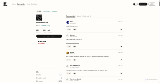 Security scan screenshot of https://coincommunity-gz.netlify.app/