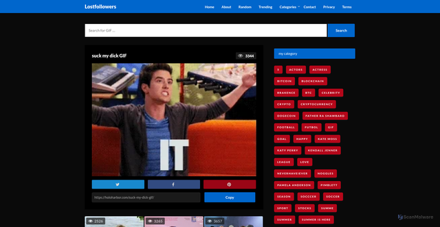 Security scan screenshot of https://holoharbor.com/suck-my-dick-gif/