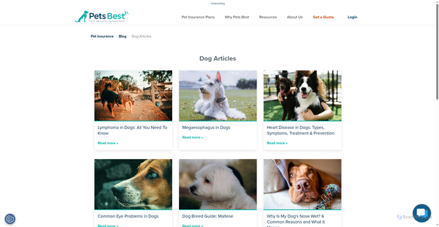 Security scan screenshot of https://www.petsbest.com/blog/category/dog