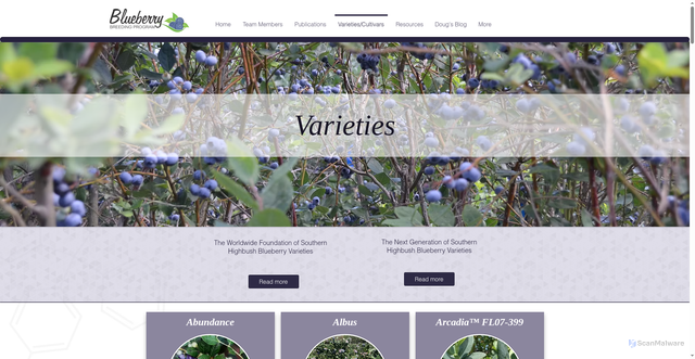 Security scan screenshot of https://www.blueberrybreeding.com/varieties