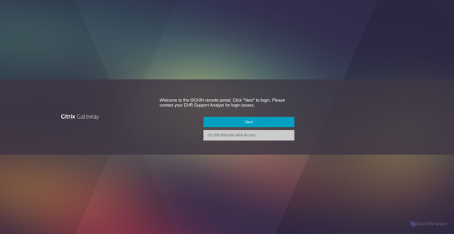 Security scan screenshot of https://remote.ochin.info