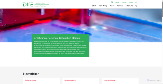 Security scan screenshot of http://www.dife.de