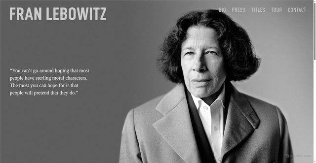 Security scan screenshot of https://franlebowitz.com/