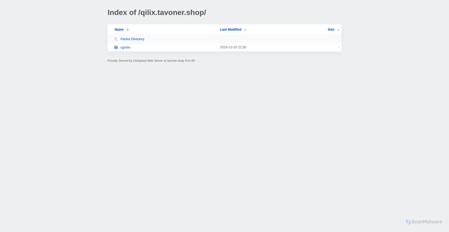 Security scan screenshot of http://tavoner.shop/qilix.tavoner.shop/