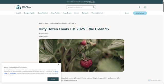 Security scan screenshot of https://ancientnutrition.com/blogs/all/dirty-dozen?srsltid=AfmBOoqkmKnciaV9ghp_eNzQIWkIA4Mpz2oaL1xSO_owBd5PfxQSQaMi