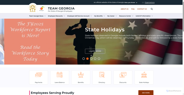 Security scan screenshot of https://team.georgia.gov/