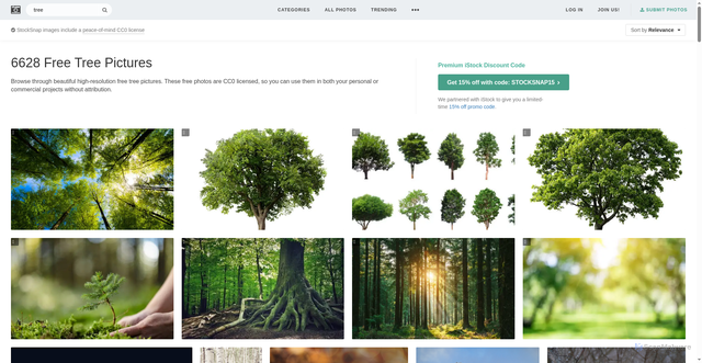 Security scan screenshot of https://page-time-hjg3.pages.dev/search/tree