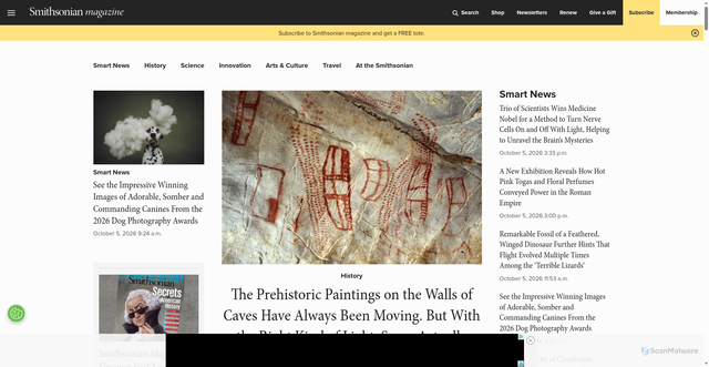 Security scan screenshot of https://www.smithsonianmag.com