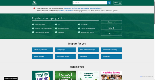 Security scan screenshot of https://www.surreycc.gov.uk/