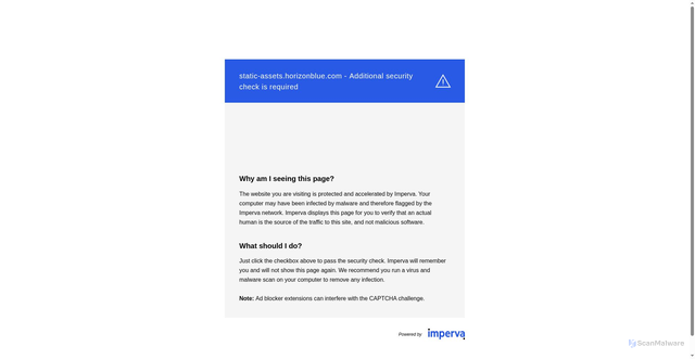 Security scan screenshot of https://static-assets.horizonblue.com