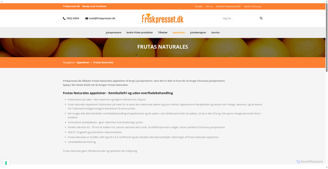 Security scan screenshot of https://frutasnaturales.se