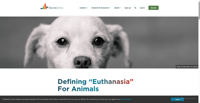 Security scan screenshot of https://faunalytics.org/defining-euthanasia-for-animals/