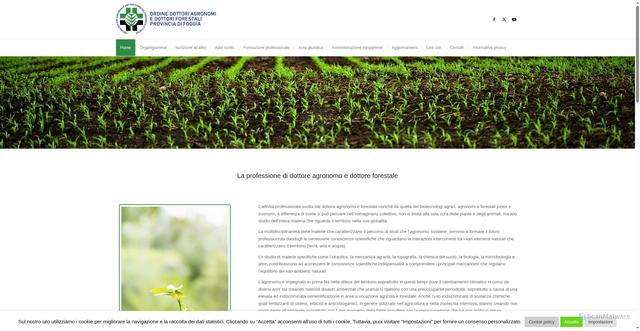 Security scan screenshot of https://agronomi-fg.it/