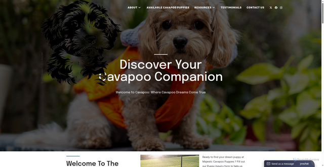 Security scan screenshot of https://majesticcavapoopuppies.com/