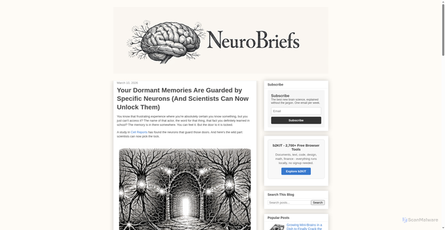 Security scan screenshot of https://neurobriefs.pages.dev/2026/03/your-dormant-memories-are-guarded-by-specific-neur.html
