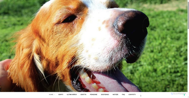 Security scan screenshot of https://www.canilecogeca.it/wordpress/