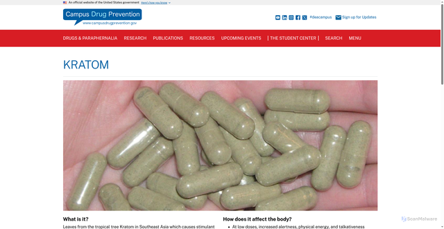 Security scan screenshot of https://www.campusdrugprevention.gov/drugs/kratom