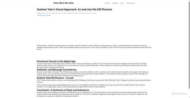 Security scan screenshot of https://pelangiasikworld-dpsmpz5348du.edgeone.app/andrew-tate-hd-pictures.html