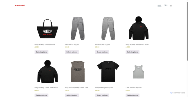 Security scan screenshot of https://kanetrainingshop.com/