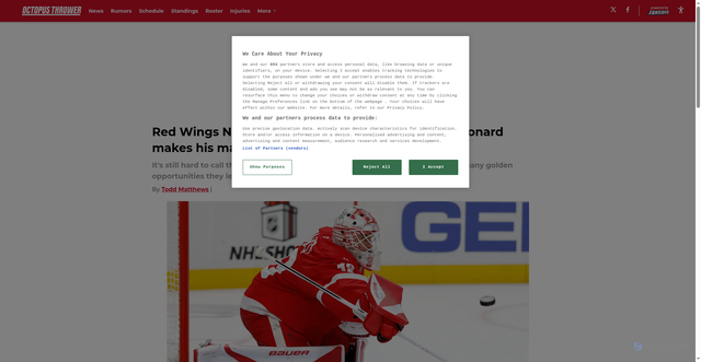 Security scan screenshot of https://octopusthrower.com/red-wings-news-golden-opportunity-slips-john-leonard-makes-his-mark