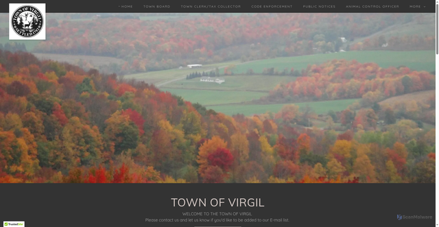 Security scan screenshot of https://virgilny.gov/