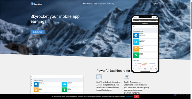 Security scan screenshot of https://silvermob.com