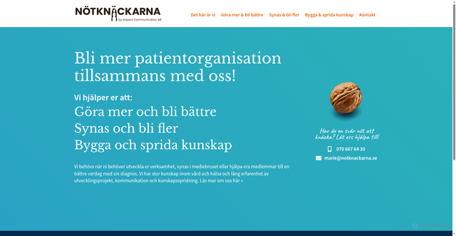 Security scan screenshot of https://xn--ntknckarna-t5a6s.se