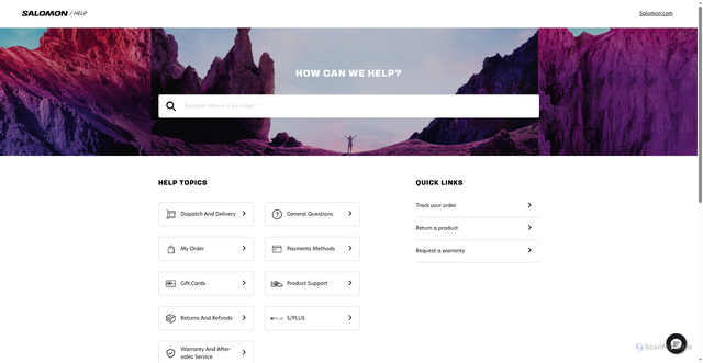 Security scan screenshot of https://support.salomon.com/