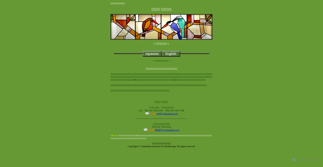 Security scan screenshot of https://www.yamashina.or.jp