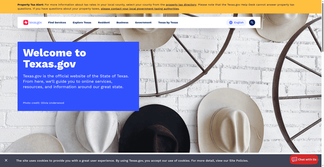Security scan screenshot of https://www.texas.gov/