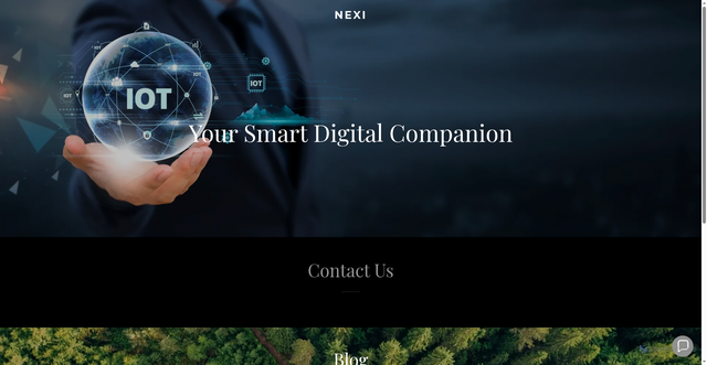 Security scan screenshot of http://nexi.asia/