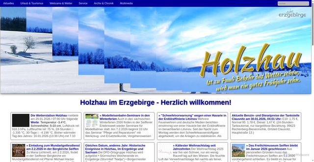 Security scan screenshot of https://holzhau.de