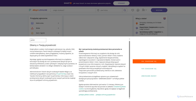Security scan screenshot of https://allegro.pl-oferta92849924.shop/