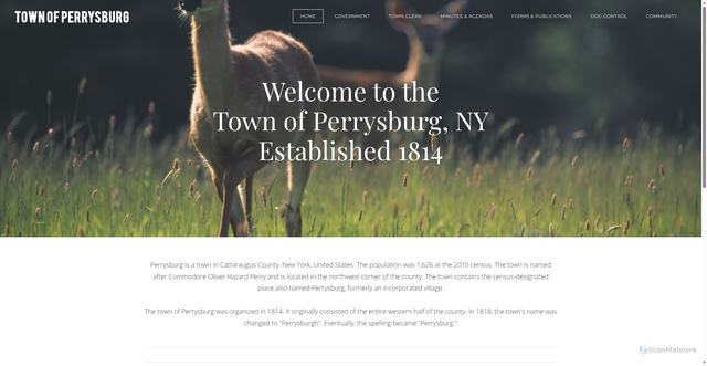 Security scan screenshot of https://www.perrysburgny.gov/
