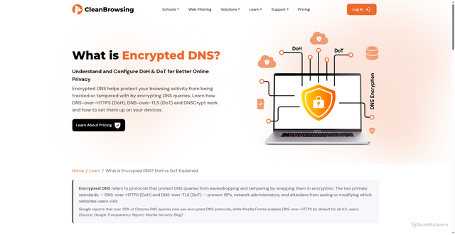 Security scan screenshot of https://dns.cleanbrowsing.org