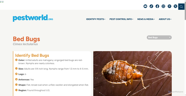 Security scan screenshot of https://www.pestworld.org/pest-guide/bed-bugs/bed-bugs/
