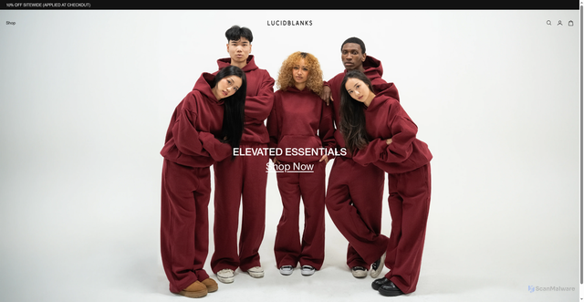 Security scan screenshot of https://lucidblanks.com