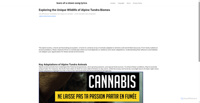 Security scan screenshot of https://warnajourneyworks-dpjbgy6lkkkc.edgeone.app/alpine-tundra-biome-animals.html