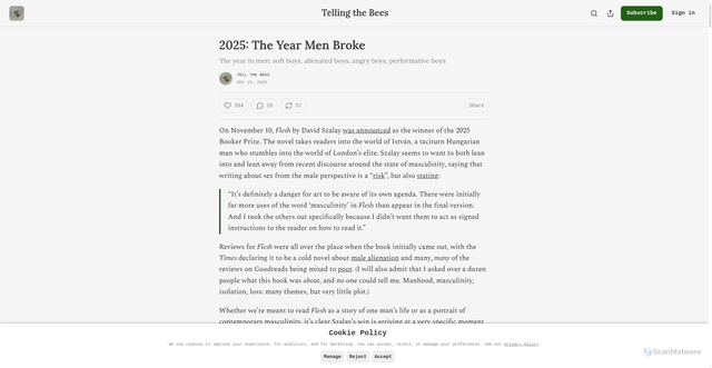 Security scan screenshot of https://tellthebeees.substack.com/p/2025-the-year-men-broke
