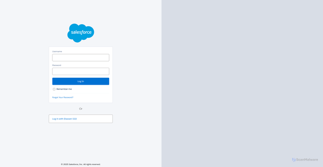 Security scan screenshot of https://eliassen.lightning.force.com