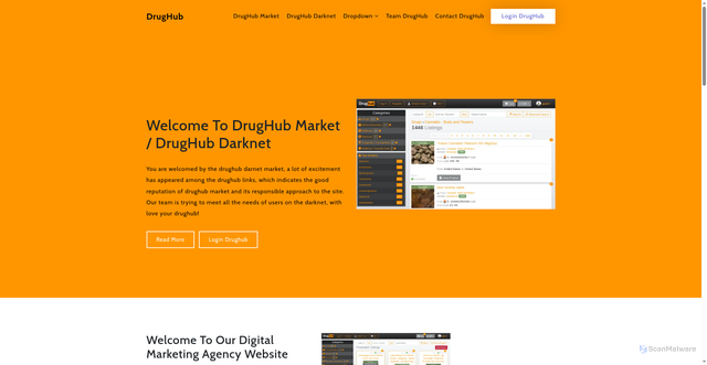 Security scan screenshot of drughub0.com