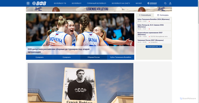 Security scan screenshot of https://volley.ru