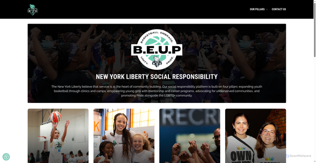Security scan screenshot of https://community.nyliberty.com/