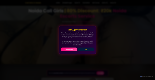 Security scan screenshot of http://noida-ankitarana.com/