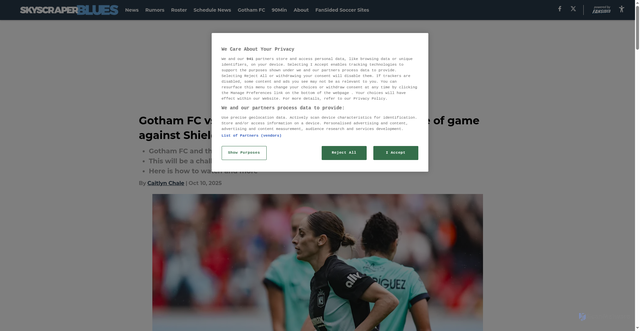 Security scan screenshot of https://skyscraperblues.com/gotham-fc-vs-kc-current-how-to-watch-time-more-game-against-shield-winners