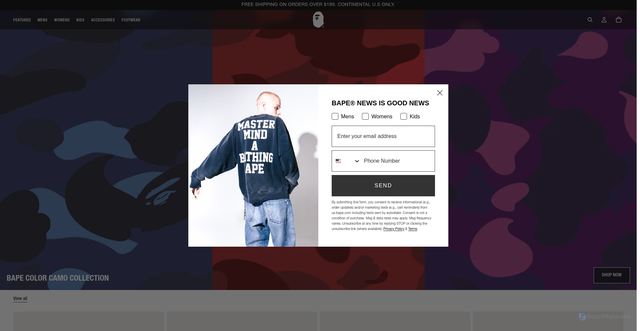 Security scan screenshot of https://us.bape.com